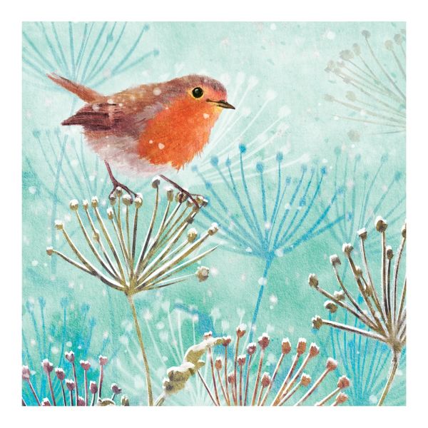 Luxury RSPB Charity Christmas Cards - Winter Robin - Pack of 10